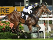 Empire Bay gives jockey Joao Moreira a race-to-race double on Friday night.<br>Photo by Singapore Turf Club